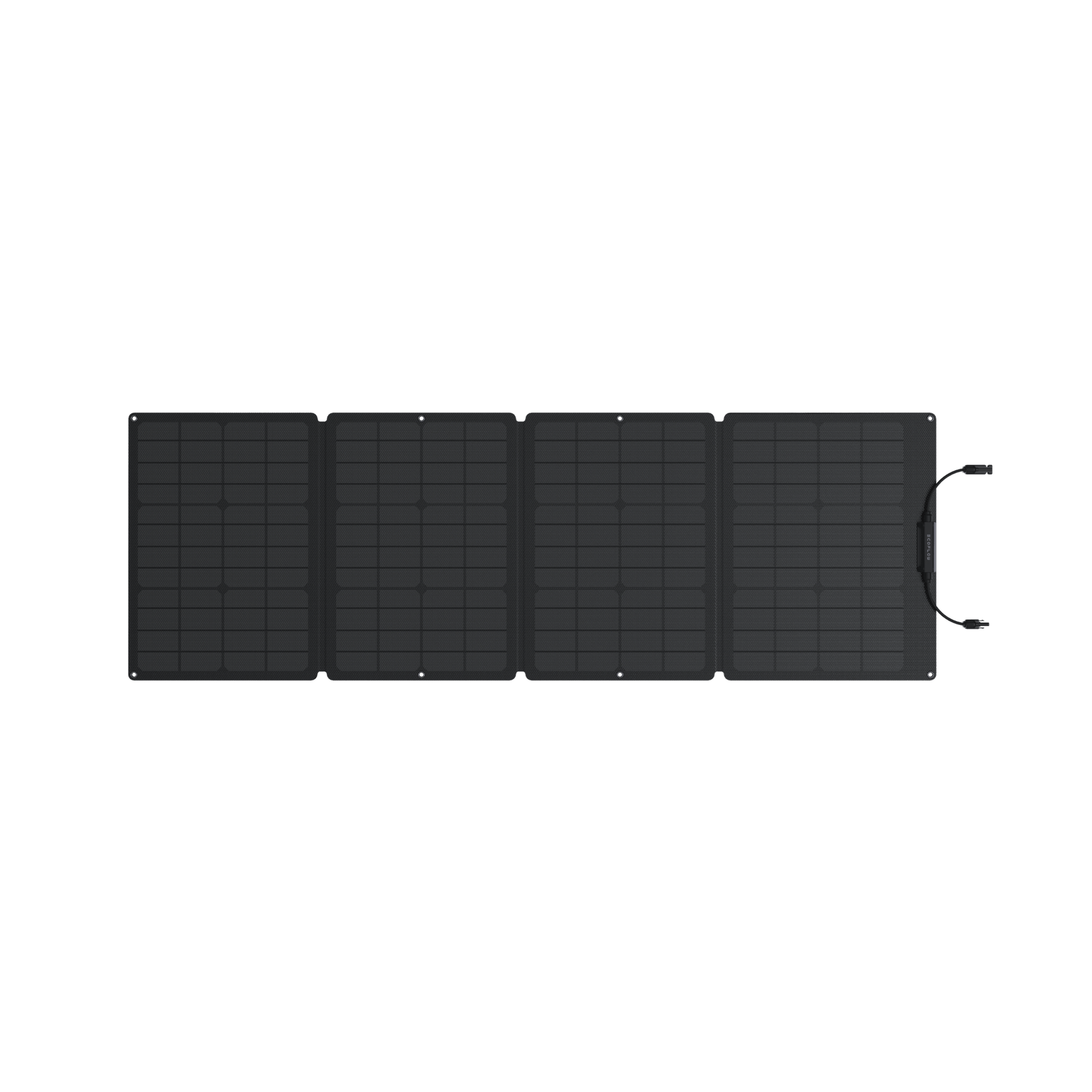 EcoFlow – 110W Portable Folding Solar Panel with Carry Case